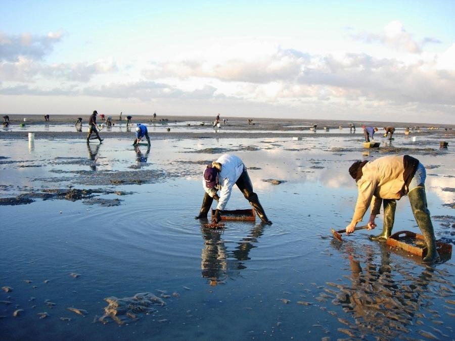 Willa Le Gite De Martine En Baie De Somme Lancheres Zewnętrze zdjęcie