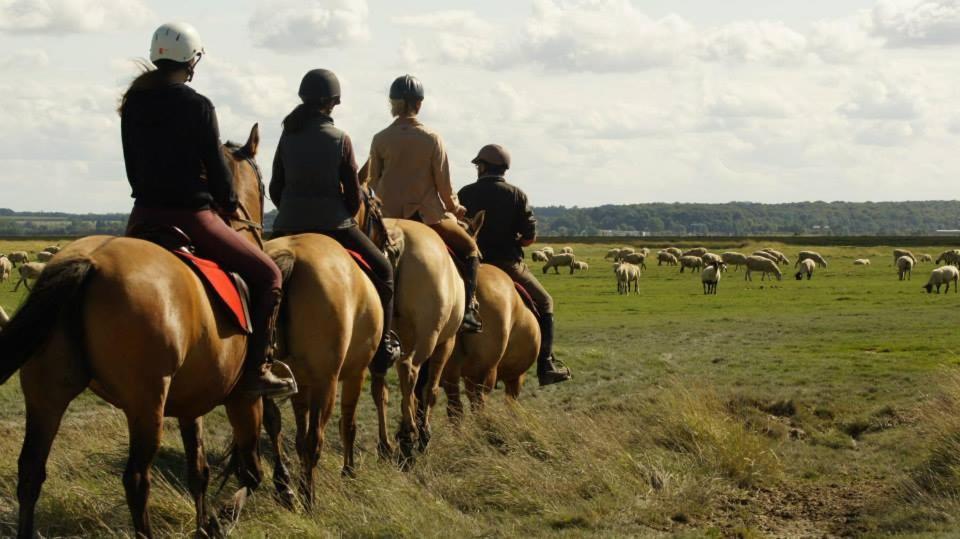 Willa Le Gite De Martine En Baie De Somme Lancheres Zewnętrze zdjęcie