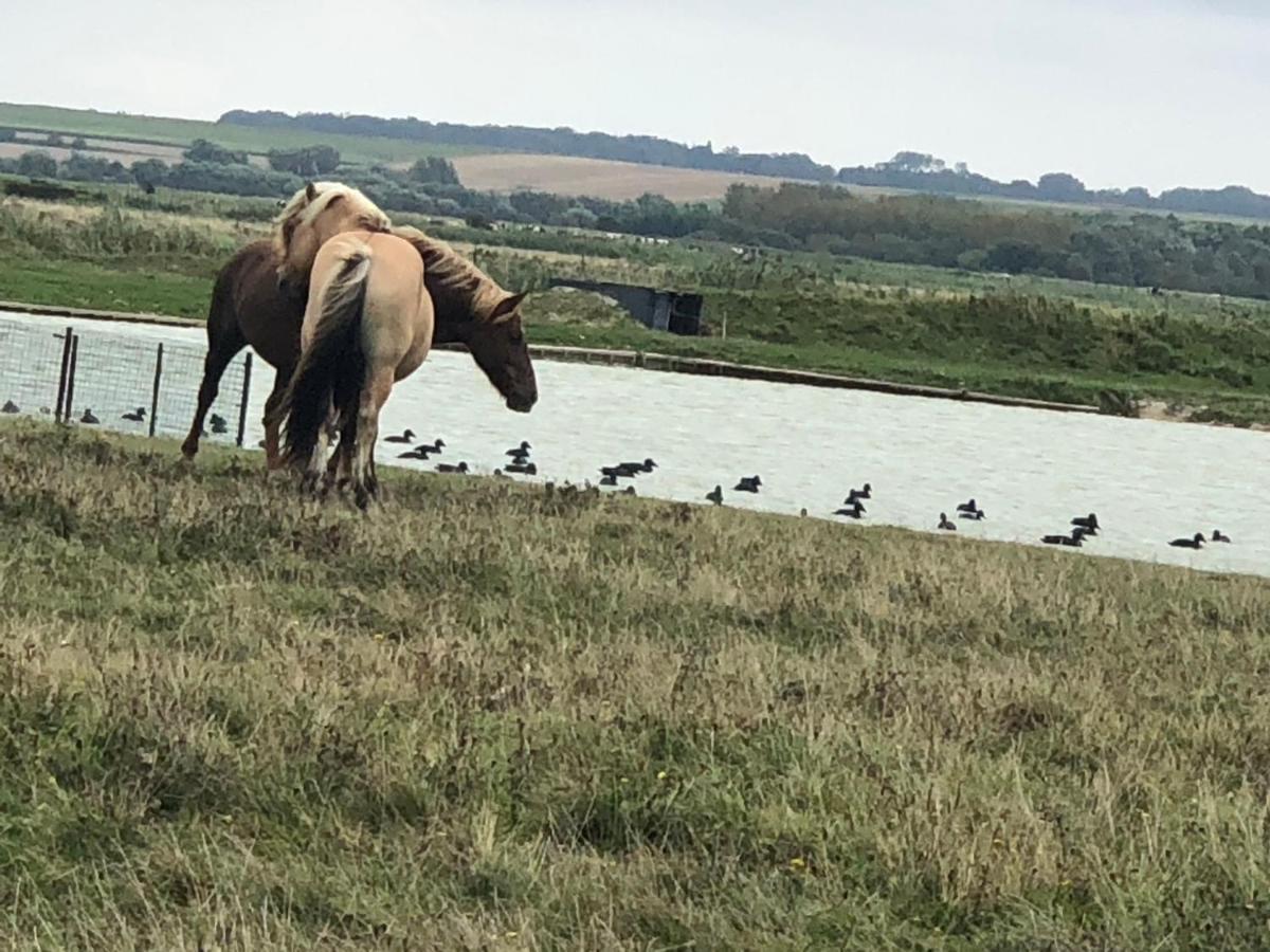 Willa Le Gite De Martine En Baie De Somme Lancheres Zewnętrze zdjęcie