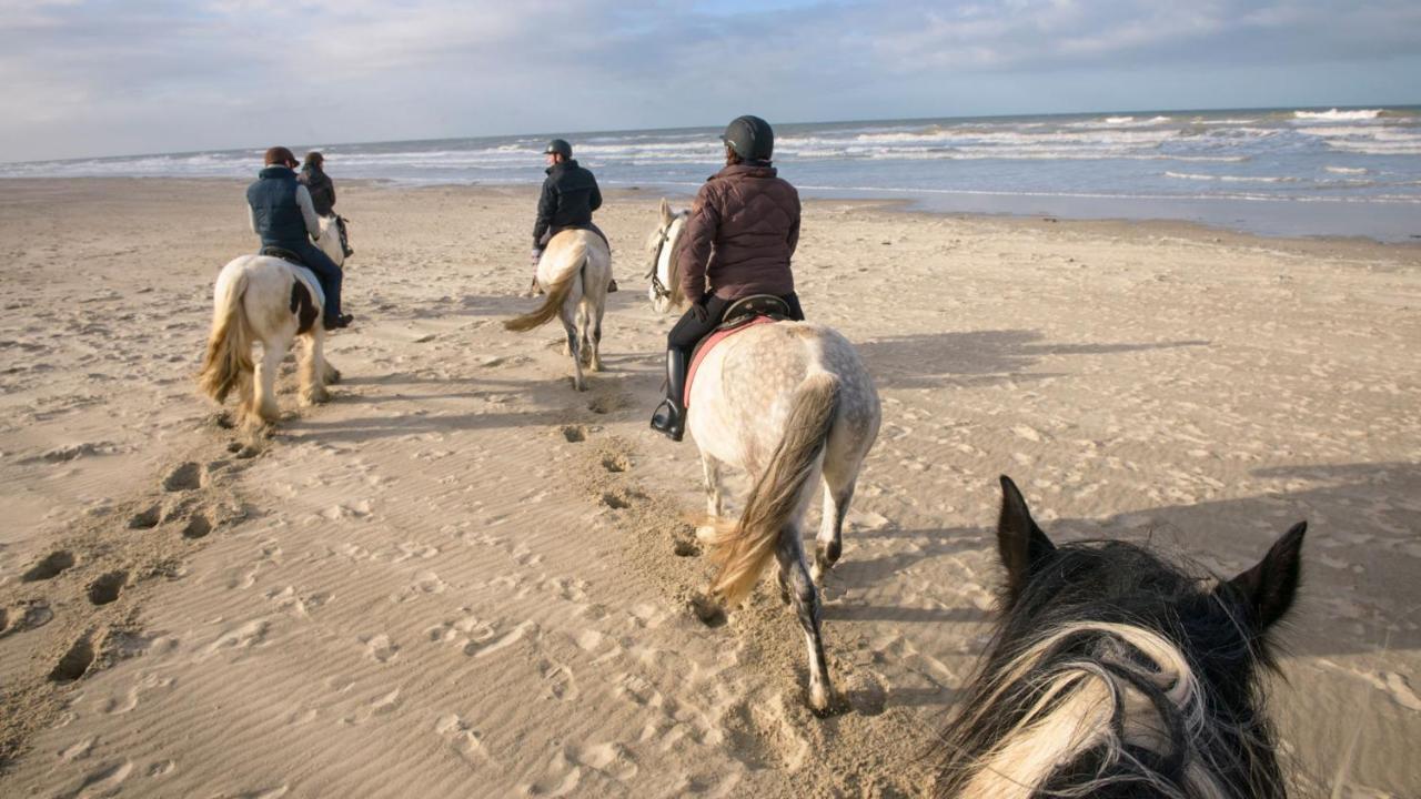 Willa Le Gite De Martine En Baie De Somme Lancheres Zewnętrze zdjęcie